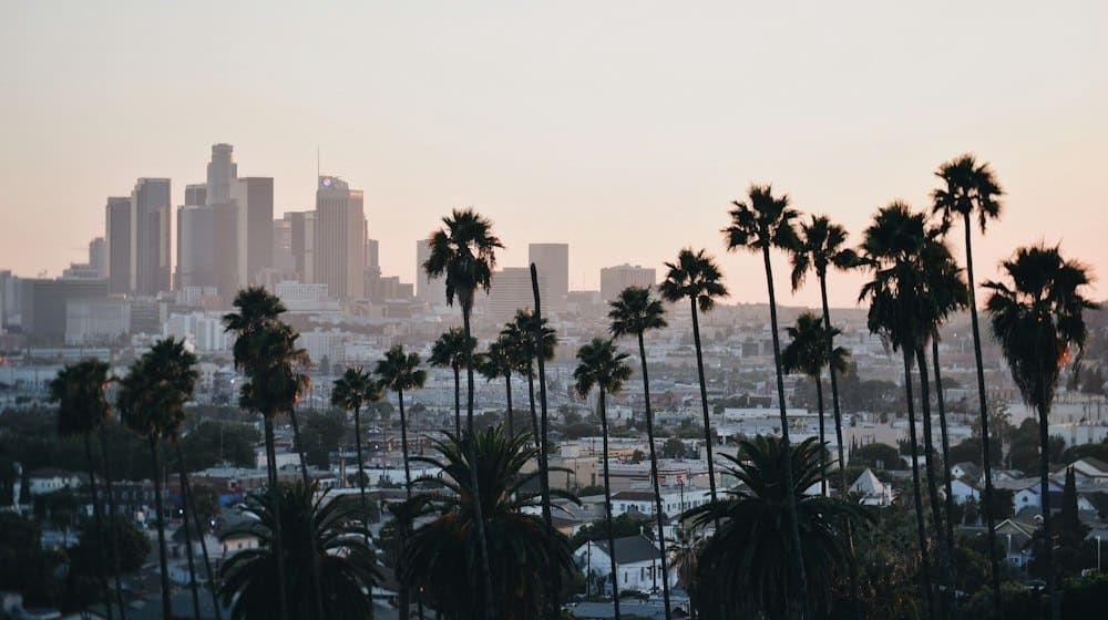 Downtown Los Angeles skyline behind palm trees